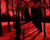 In Emptiness : Infinity in Sorrow